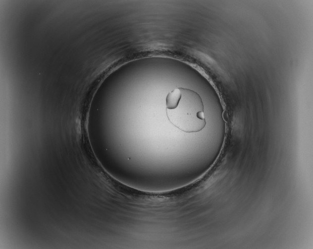 X0000092321209200709211323
