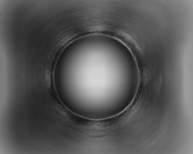X0000092321217200709211323