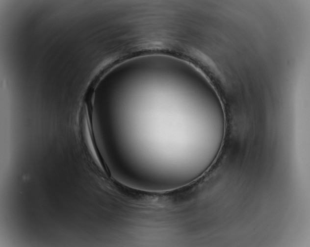 X0000092321218200709211323