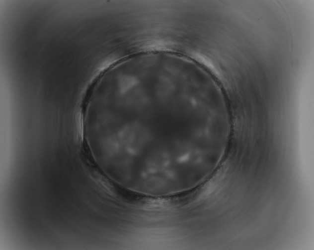 X0000092321219200709211323
