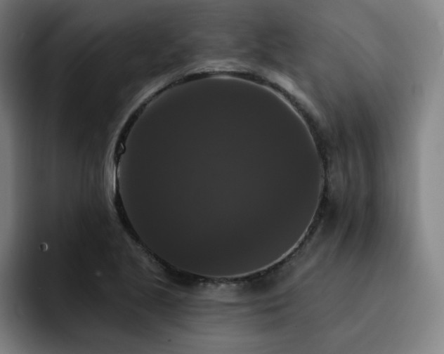 X0000092321221200709211323