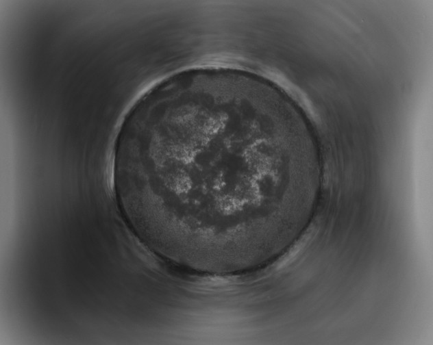 X0000092321224200709211323
