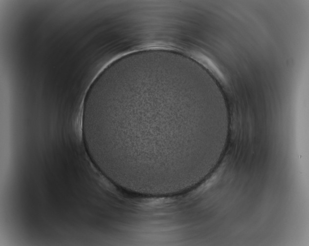 X0000092321228200709211323