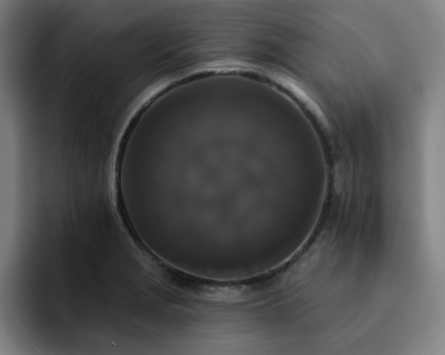 X0000092321229200709211323