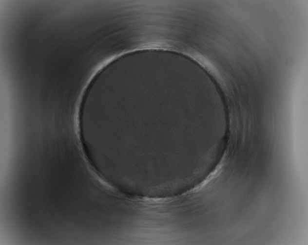 X0000092321230200709211323