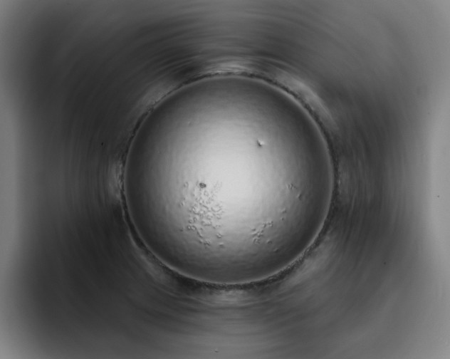 X0000092321233200709211323