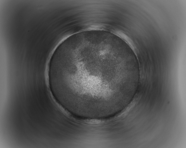 X0000092321235200709211323