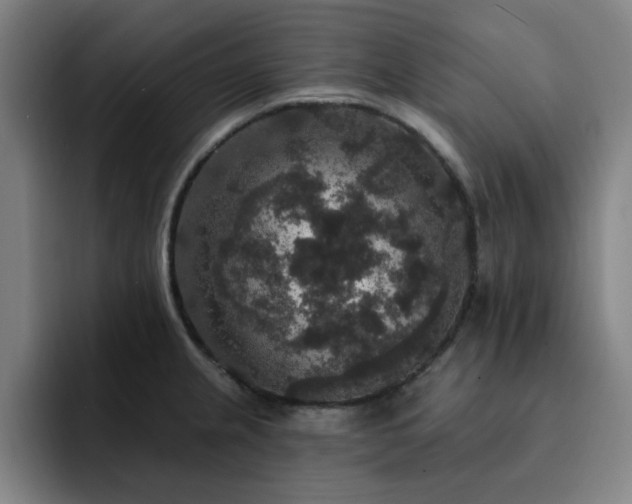 X0000092321237200709211323