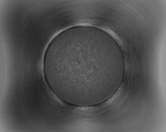 X0000092321240200709211323