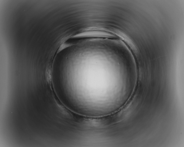 X0000092321241200709211323