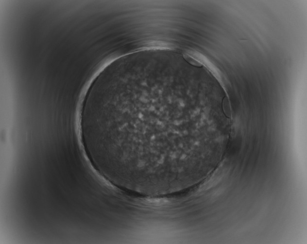 X0000092321243200709211323