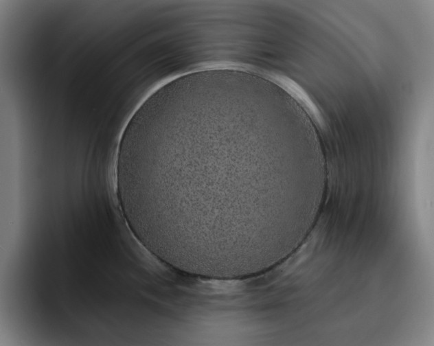 X0000092321244200709211323