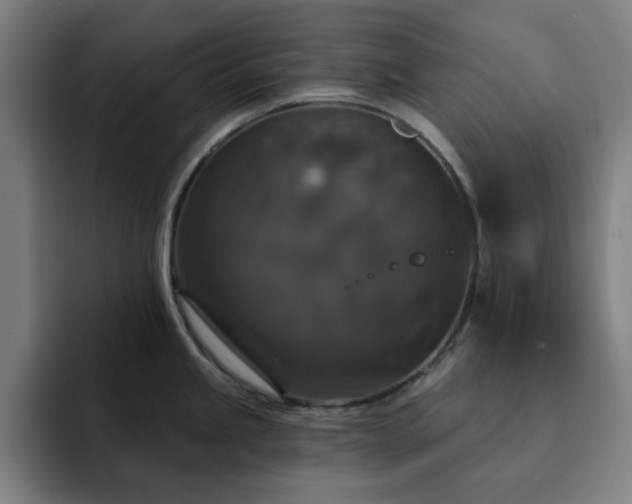 X0000092321245200709211323