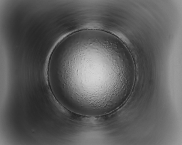 X0000092321248200709211323