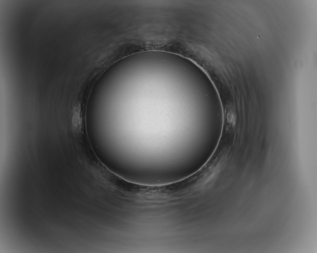 X0000092321252200709211323
