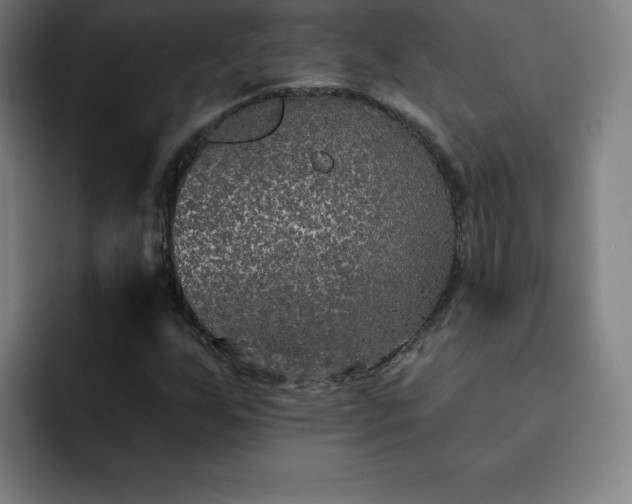 X0000092321255200709211323