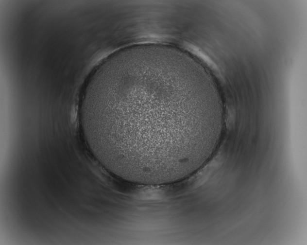 X0000092321259200709211323