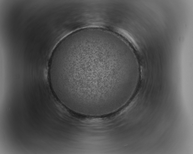 X0000092321260200709211323
