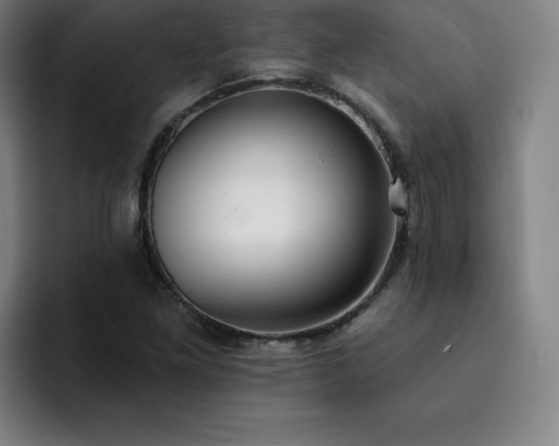 X0000092321261200709211323