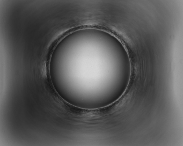 X0000092321262200709211323