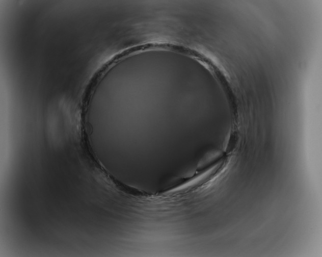 X0000092321263200709211323