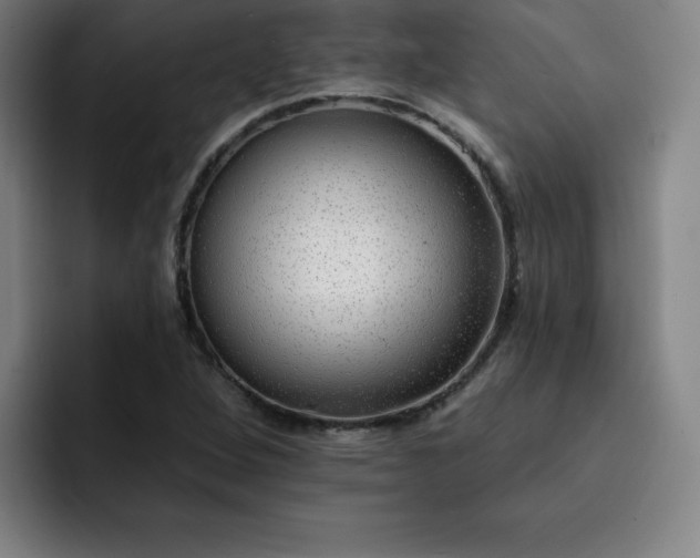 X0000092321264200709211323