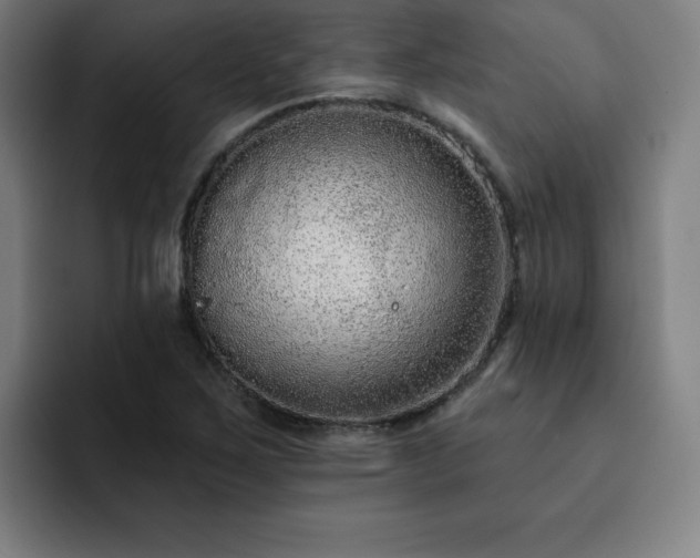 X0000092321267200709211323