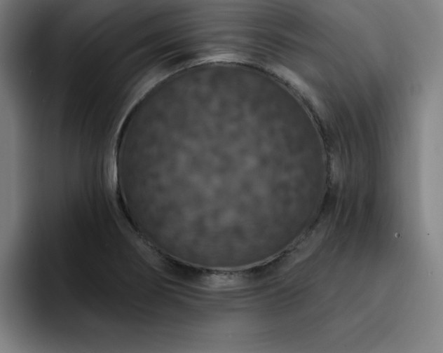 X0000092321274200709211323