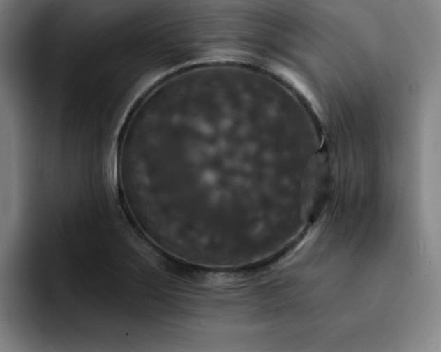 X0000092321275200709211323