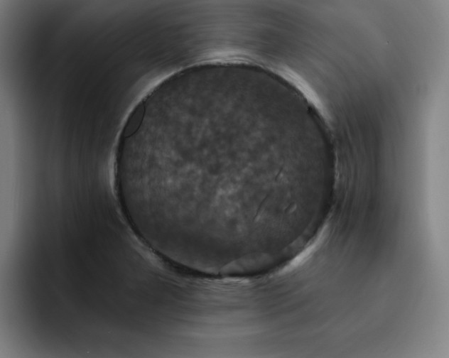 X0000092321277200709211323