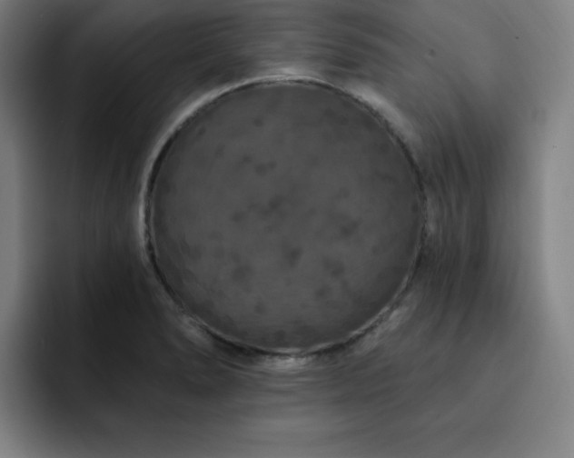X0000092321278200709211323