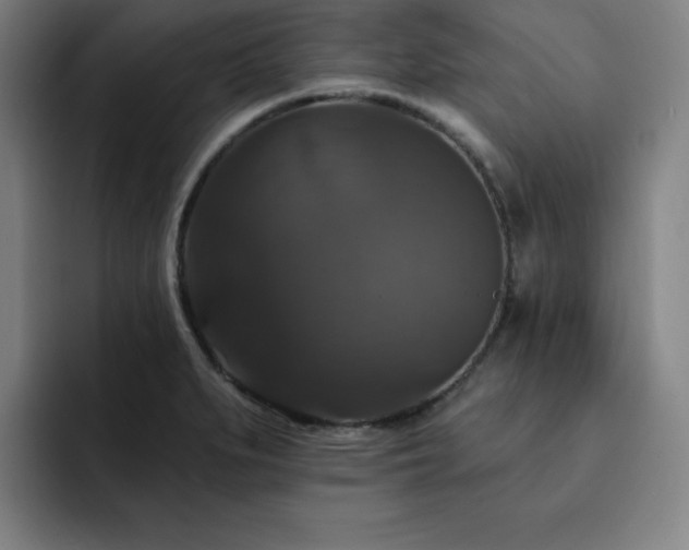 X0000092321279200709211323