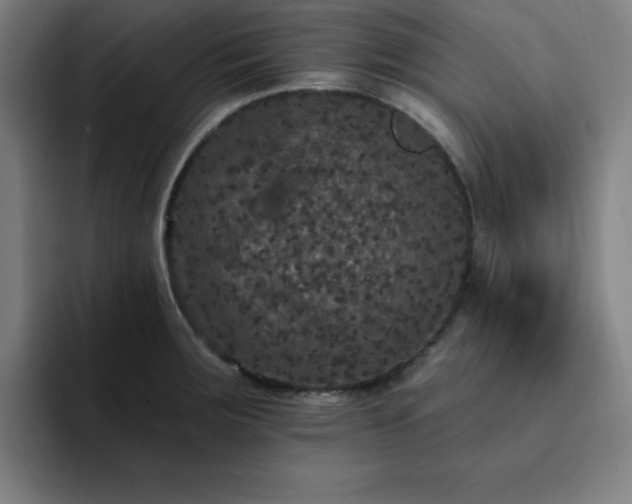 X0000092321283200709211323