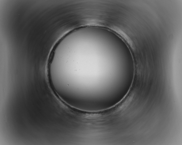 X0000092321285200709211322