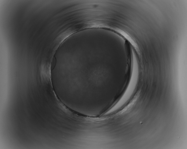 X0000092321289200709211322