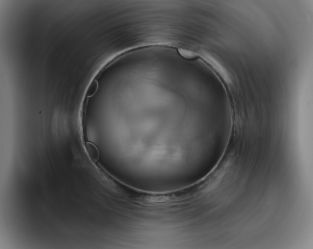 X0000092321291200709211322