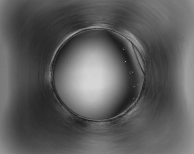 X0000092321292200709211322