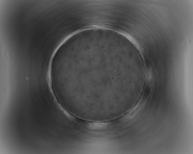 X0000092321294200709211322
