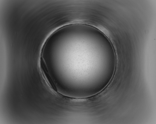 X0000092321296200709211322