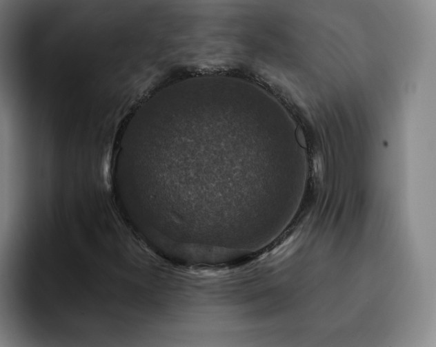 X0000092321300200709211322