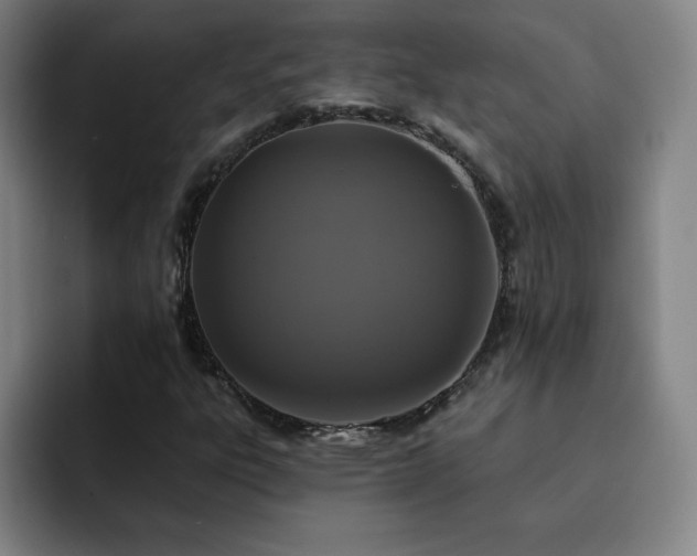 X0000092321303200709211322
