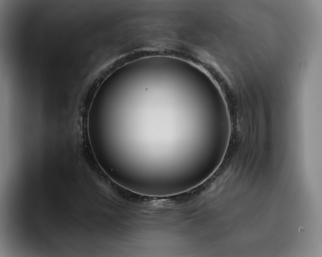 X0000092321304200709211322