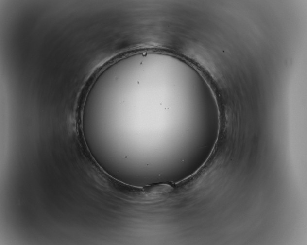 X0000092321308200709211322