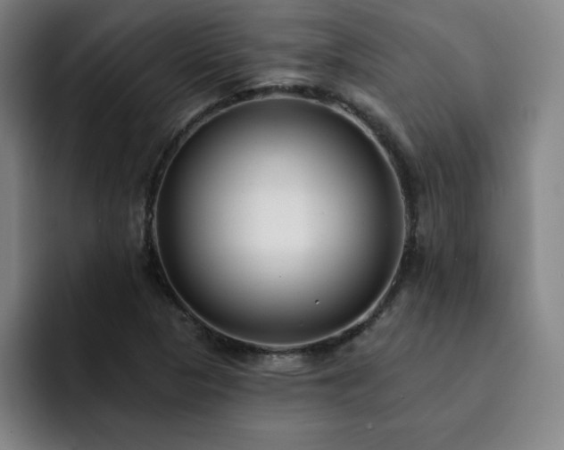 X0000092321313200709211322