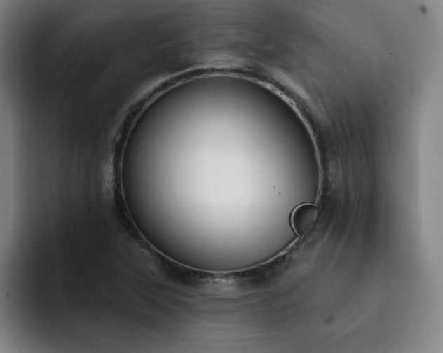 X0000092321315200709211322