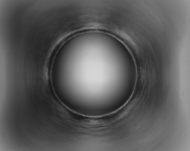 X0000092321318200709211322