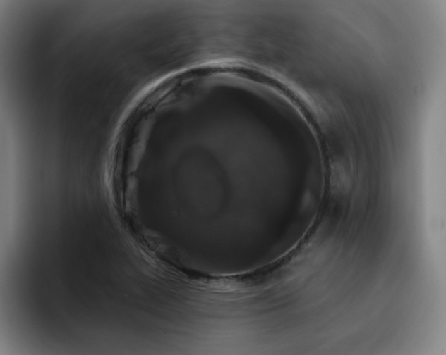 X0000092321319200709211322