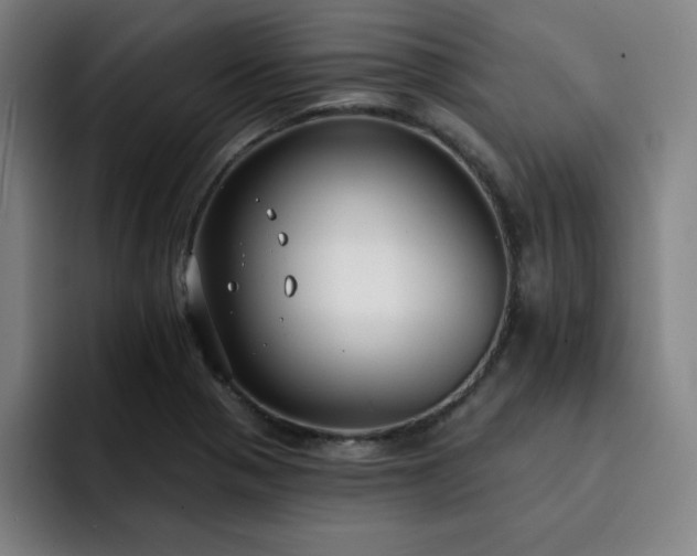 X0000092321321200709211322