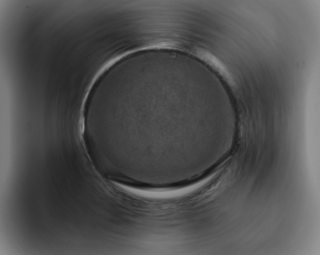 X0000092321324200709211322