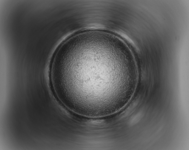 X0000092321325200709211322